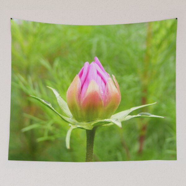 Item preview, Bud cosmos designed and sold by TatianaAn.