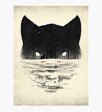 Wolfy Photographic Print