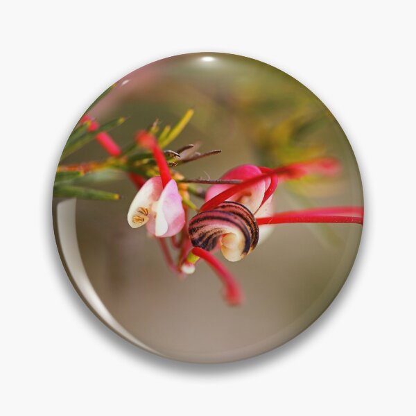 Item preview, Grevillea Rosmarinifolia Flower designed and sold by Joy Watson - Natural Light Photography .