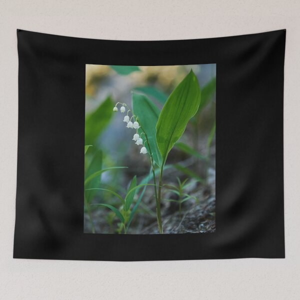 Item preview, The beautiful Lily of the valley 5 designed and sold by Jouko Lehto Photography.