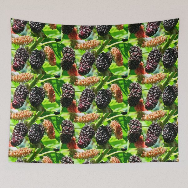 Item preview, Ripe Black Mulberries 黑桑 by Bao-Er designed and sold by Chinaspaces.