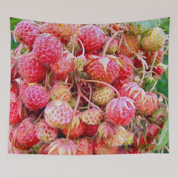 Item preview, strawberries designed and sold by TatianaAn.