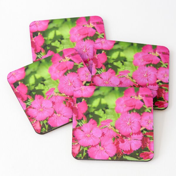 Item preview, Sweet Williams designed and sold by LynyrdSky.
