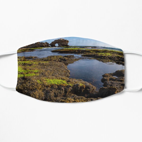 Bridgewater Bay low tide Mask