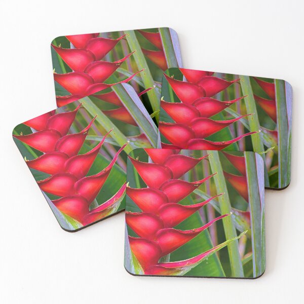 Item preview, Red Heliconia designed and sold by aloharobj.