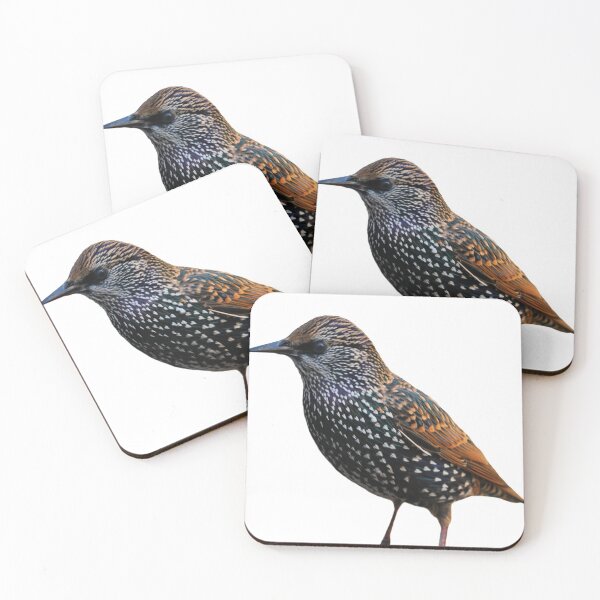Item preview, Sturnus Vulgaris designed and sold by thebirdemic.