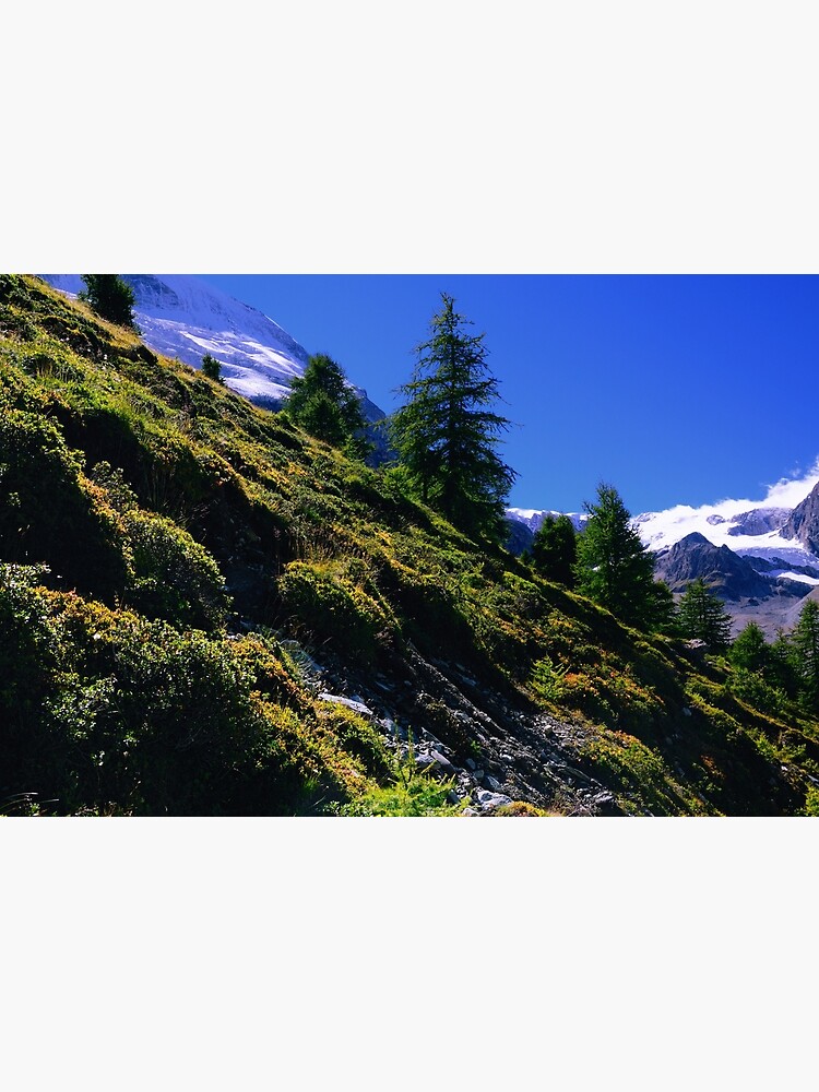 Thumbnail 3 of 3, Photographic Print, Down Hill in Swiss Alps designed and sold by Mallorn.
