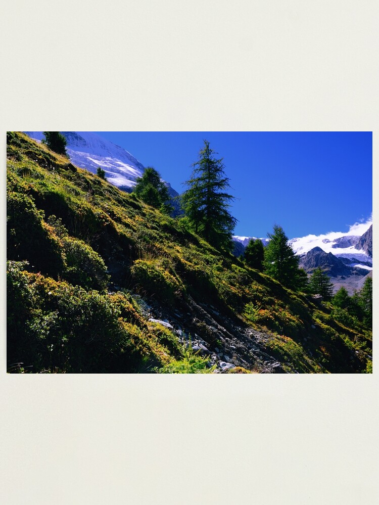 Thumbnail 1 of 3, Photographic Print, Down Hill in Swiss Alps designed and sold by Mallorn.