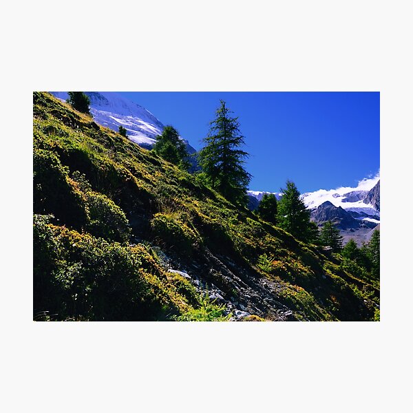 Photographic Print