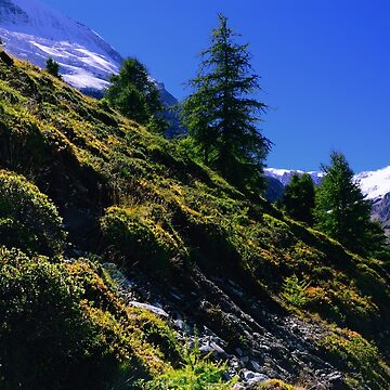 Artwork thumbnail, Down Hill in Swiss Alps by Mallorn
