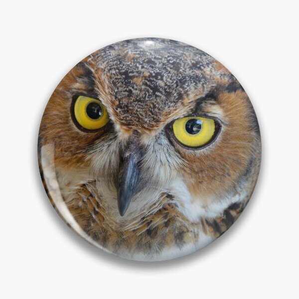 Item preview, Great Horned Owl Stare designed and sold by richardbryce.