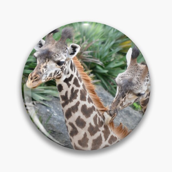 Item preview, Giraffe Massage designed and sold by richardbryce.