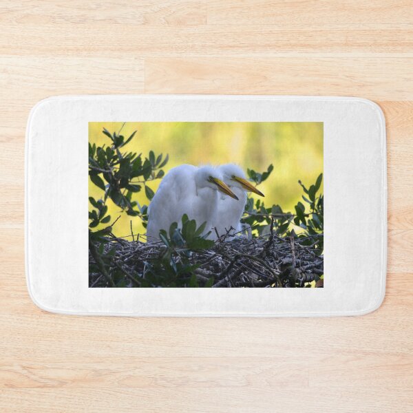 Item preview, Pair of Young Egret Chicks designed and sold by richardbryce.