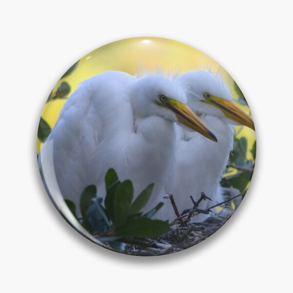 Item preview, Pair of Young Egret Chicks designed and sold by richardbryce.