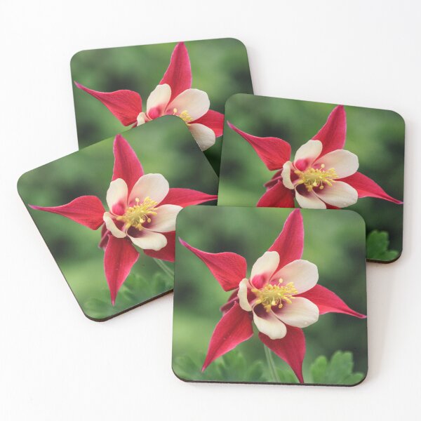 Item preview, Red Aquilegia in bloom. designed and sold by John Ray.