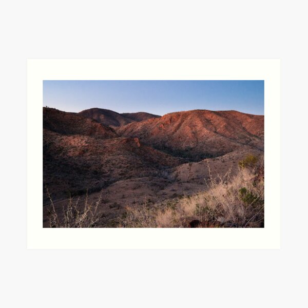 Dawn near Grindells Hut, Flinders Ranges SA Art Print