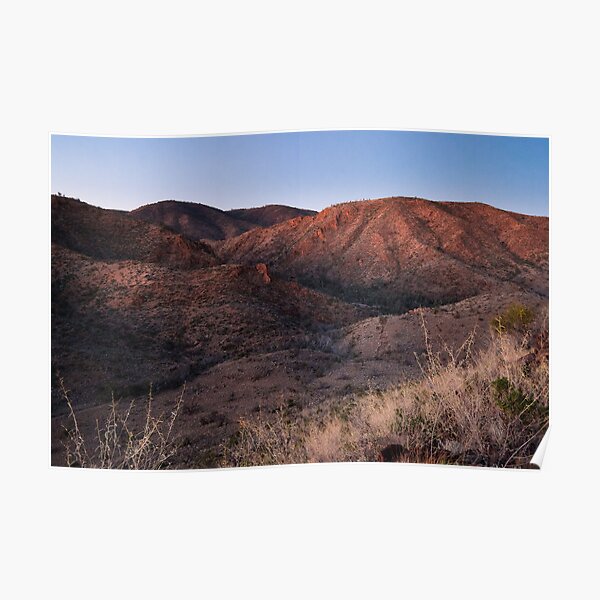 Dawn near Grindells Hut, Flinders Ranges SA Poster
