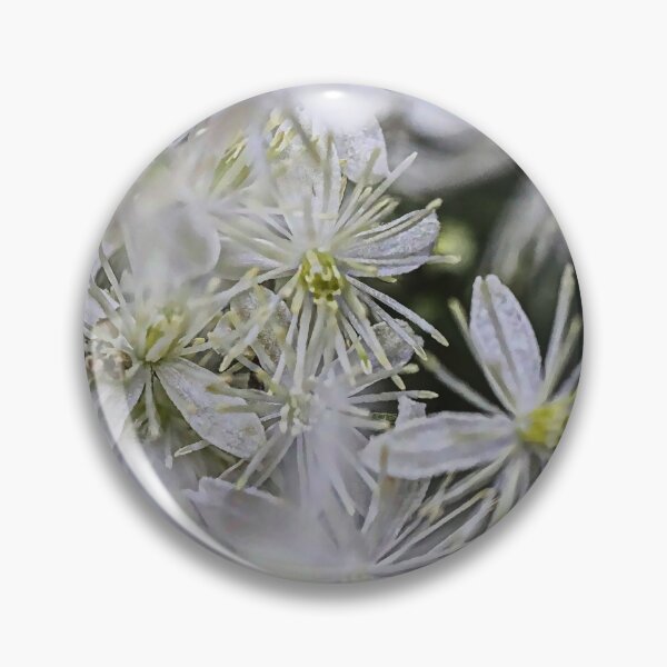 Item preview, White Old Man's Beard (Clematis vitalba) Macro Flowers Cool Floral Gifts designed and sold by r-silver.