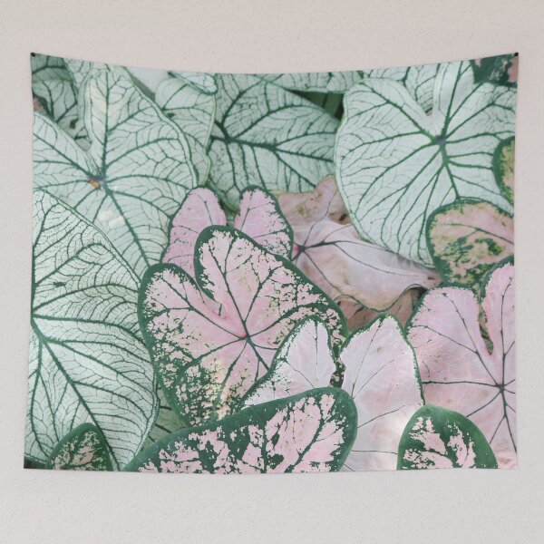 Item preview, LEAFS LEAFFY LEAFS designed and sold by MissVania Speaks.