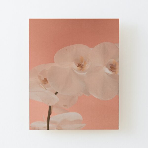 ZEN STATUS Wood Mounted Print