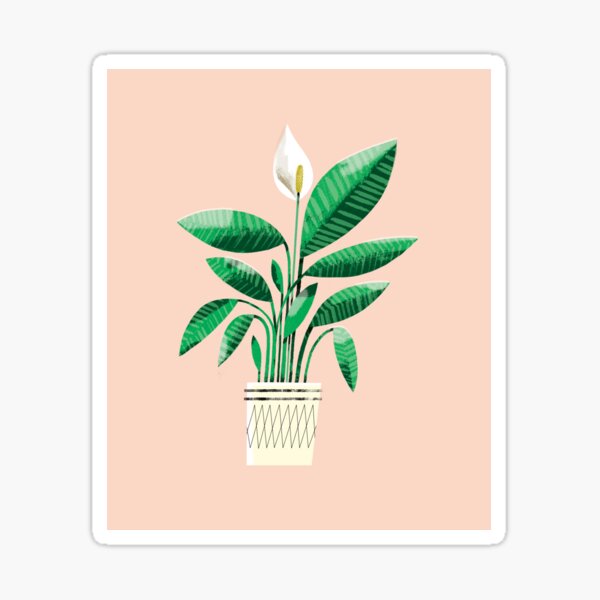 Peace Lily Plant Sticker