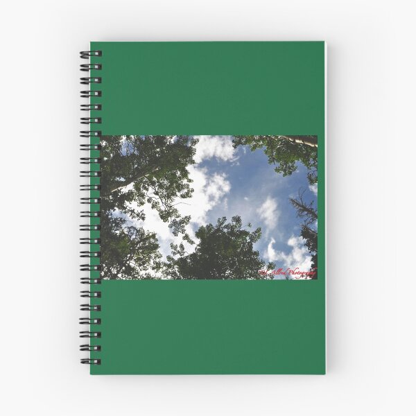 Item preview, "Quakes" Manti-La Sal National Forest designed and sold by CL Allred Photography.