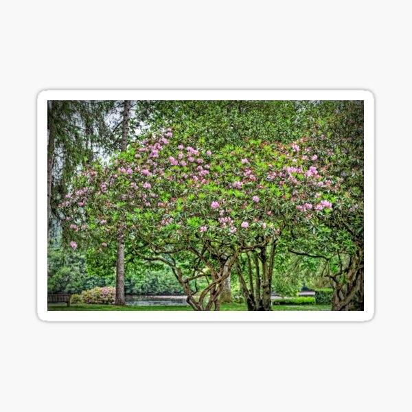 Item preview, Dunkeld Gardens designed and sold by tomg.