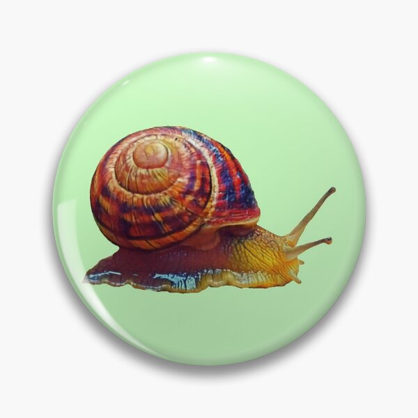 Item preview, Scrawling edible snail designed and sold by helenkaiy.