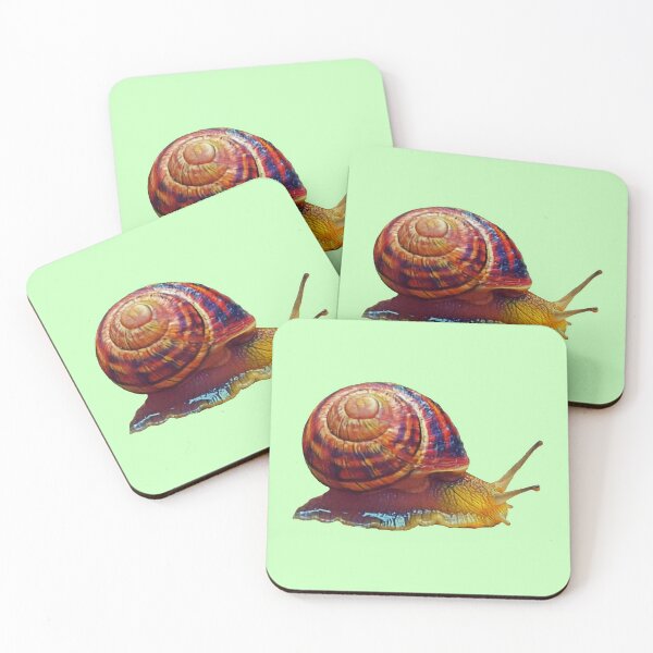 Item preview, Scrawling edible snail designed and sold by helenkaiy.
