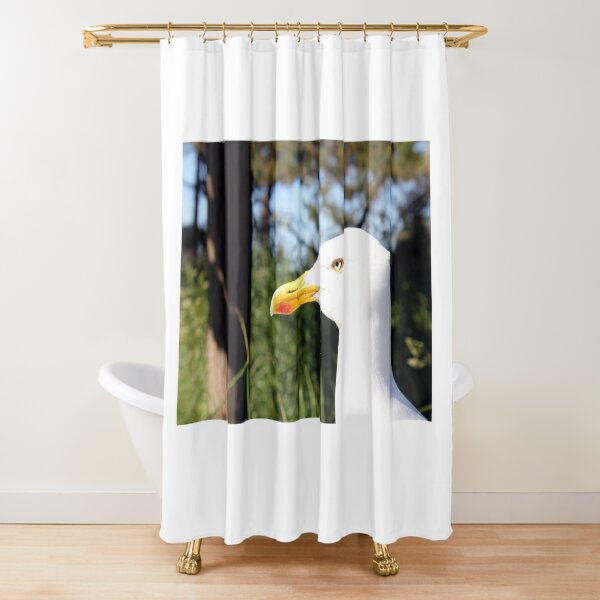 Seagull on Ruegen Shower Curtain