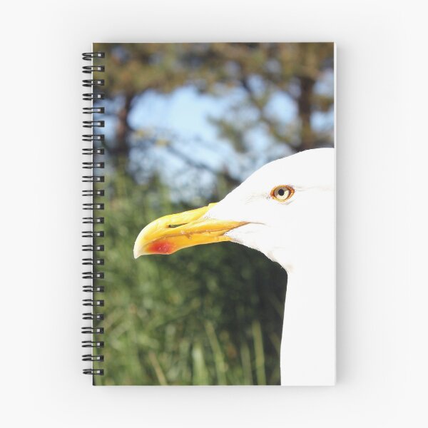 Item preview, Seagull on Ruegen designed and sold by Kathrin Guedri.