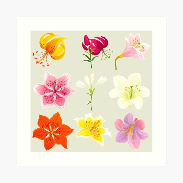 Colorful Lilies Art Print