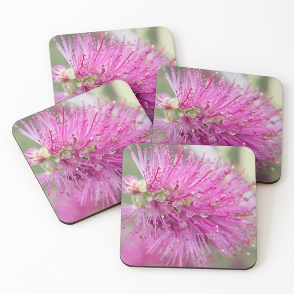 Item preview, Callistemon with Dewdrops designed and sold by Linda Lees.