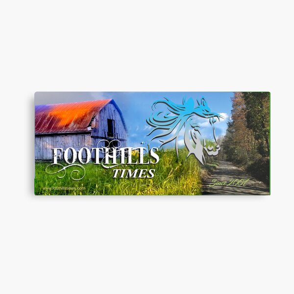 Foothills Country Road Metal Print