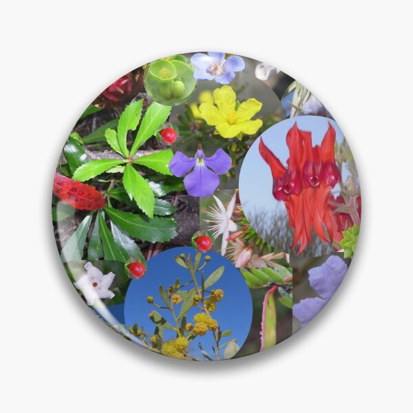 Item preview, Colourful plants designed and sold by HaniaAnia.