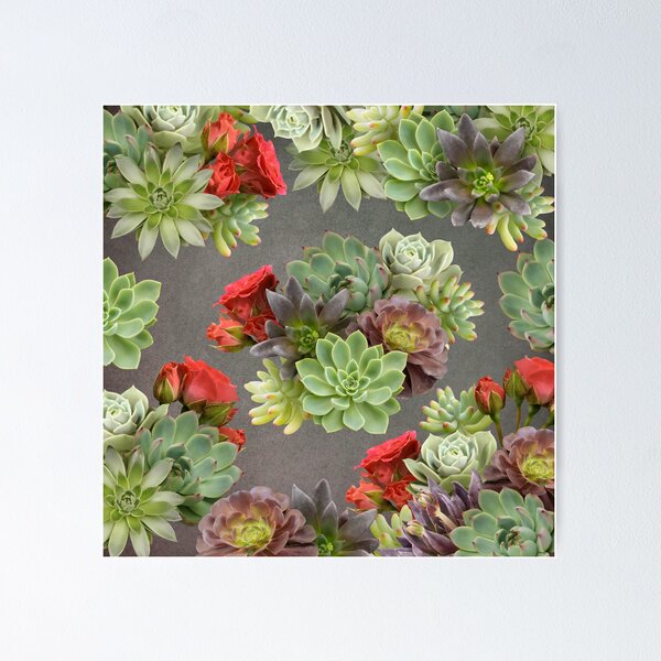 Artikelvorschau, Sukkulenten und rote Rosen. entworfen und verkauft von RinaMDesigns.