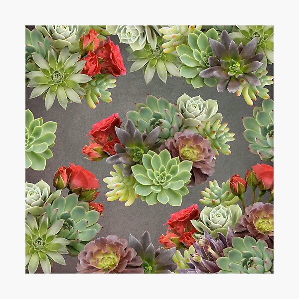 Item preview, Suculentas y rosas rojas. designed and sold by RinaMDesigns.