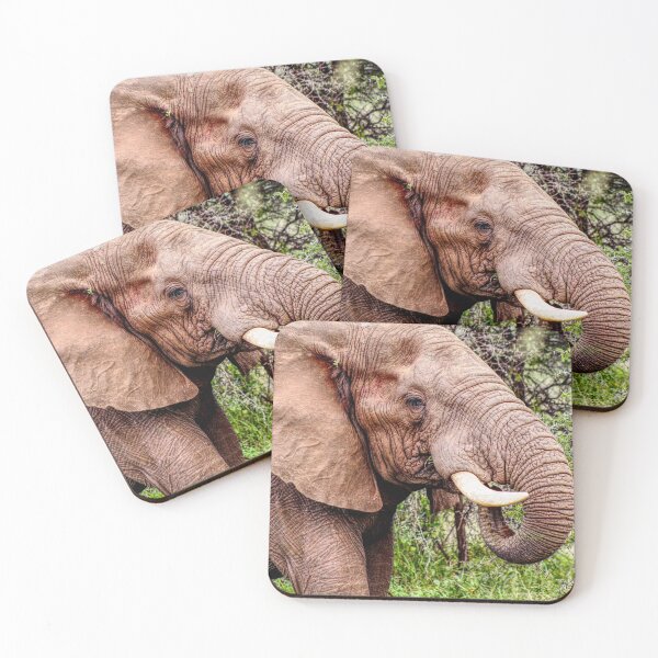 Item preview, Mr Elephant having dinner designed and sold by Liesl Kustermann.