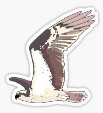 Osprey Bird Flying Sticker
