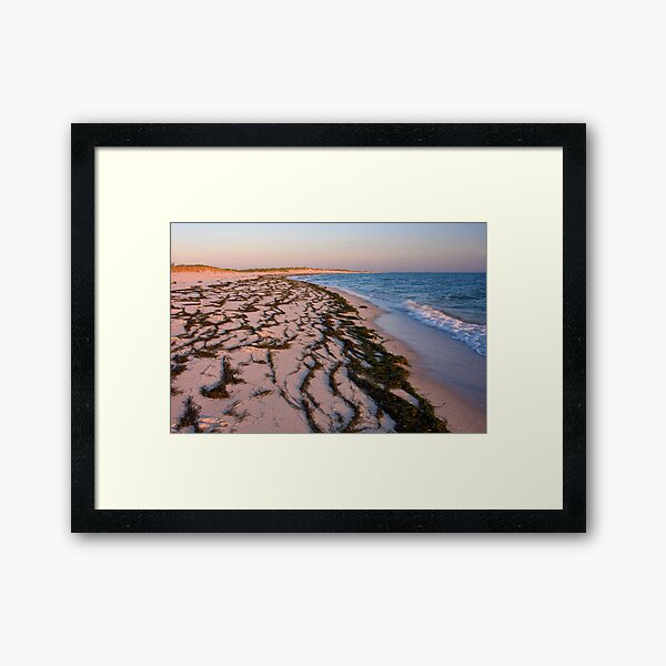 Beach on Tangier Island at Sunset Framed Art Print
