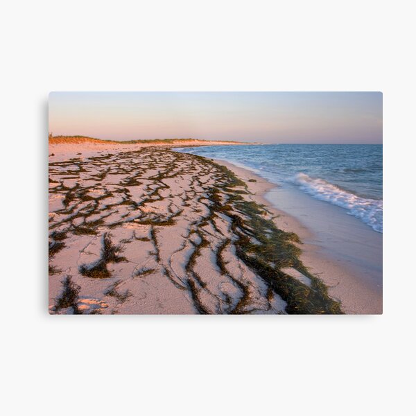 Beach on Tangier Island at Sunset Metal Print