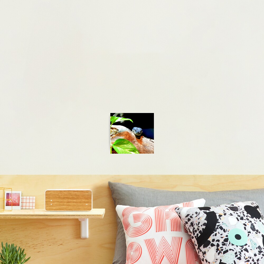 Item preview, Photographic Print designed and sold by Barnbk02.