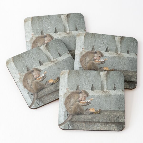 Item preview, Toque Macaque eating coconut designed and sold by Photopat.