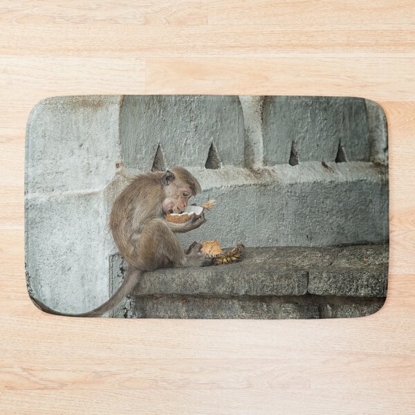 Item preview, Toque Macaque eating coconut designed and sold by Photopat.