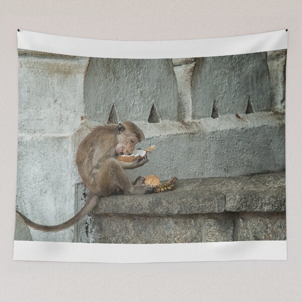 Item preview, Toque Macaque eating coconut designed and sold by Photopat.
