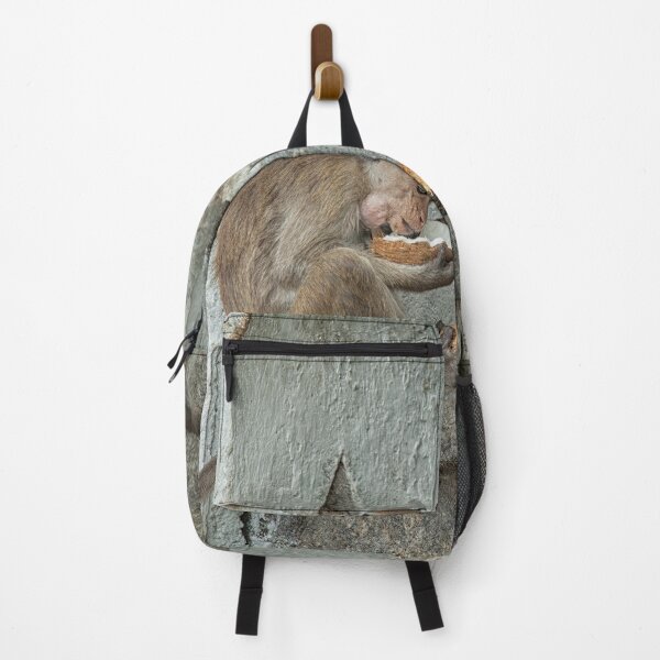 Item preview, Toque Macaque eating coconut designed and sold by Photopat.