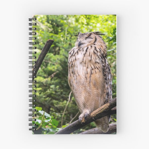 Item preview, Indian eagle-owl designed and sold by lena-maximova.