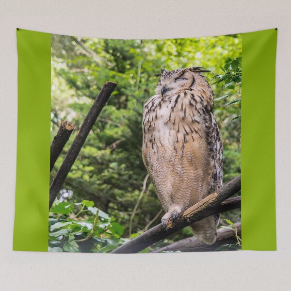 Item preview, Indian eagle-owl designed and sold by lena-maximova.