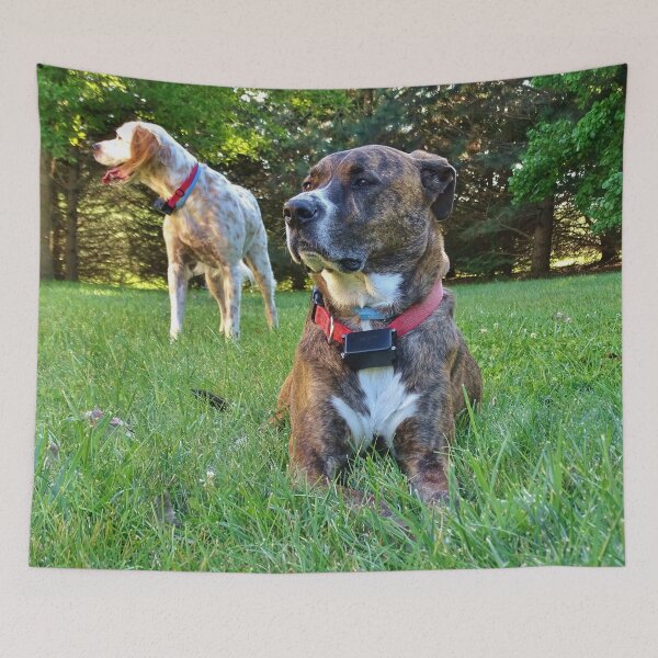 Item preview, Dog Days of Summer designed and sold by Karen  Rubeiz.
