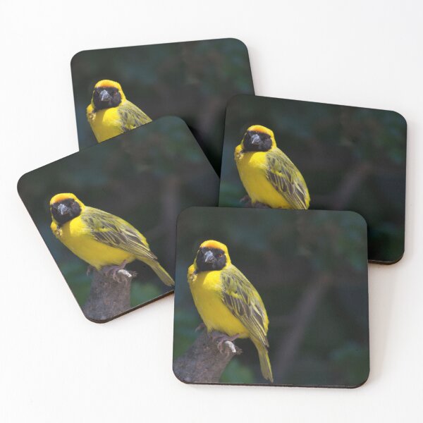 Item preview, Bright Yellow Weaver designed and sold by chanzds.